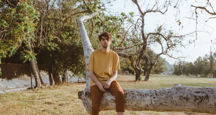 Johan press photo sitting on a tree