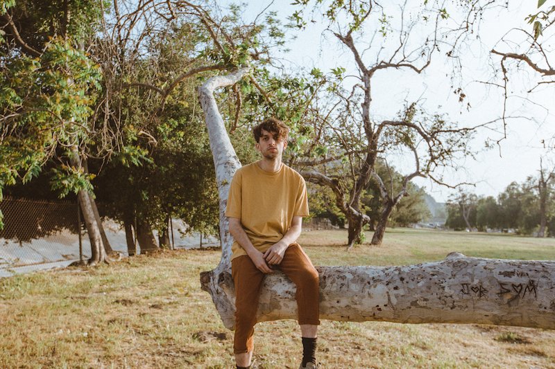 Johan press photo sitting on a tree