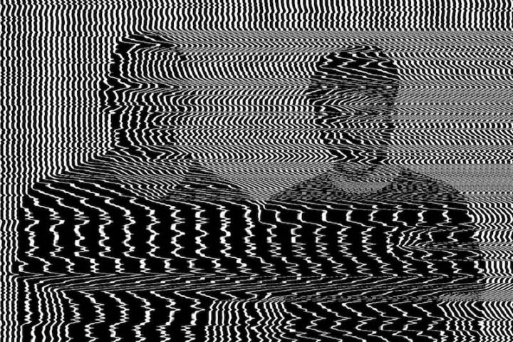 Polytonics press photo