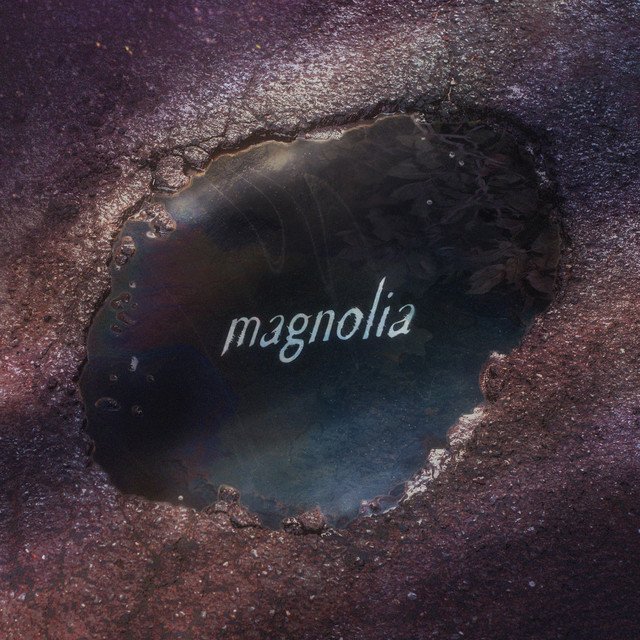 Thomston – “Magnolia” song cover art