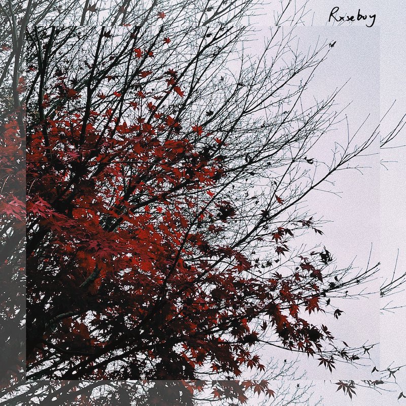 Rxseboy - “Leaving” song cover art