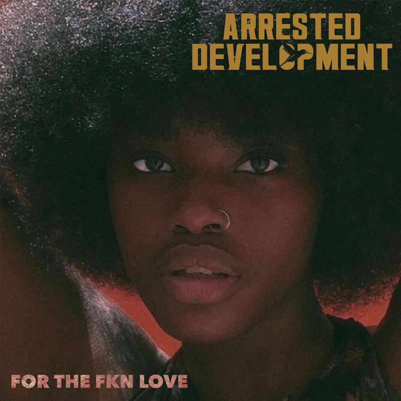 Arrested Development - For The FKN Love album cover