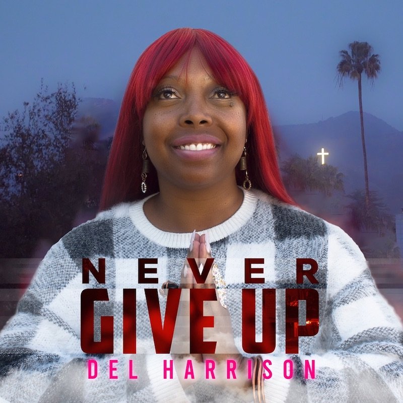 Del Harrison - “Never Give Up” song cover art