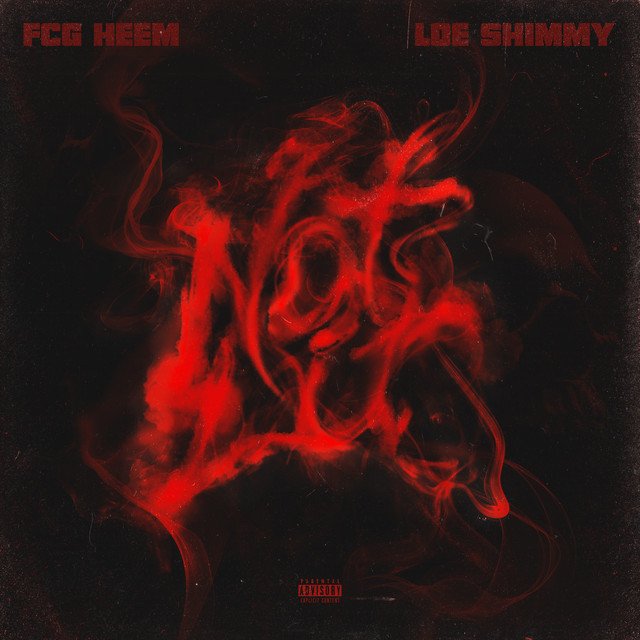 FCG Heem & LOE Shimmy - “Not Lit” song cover art