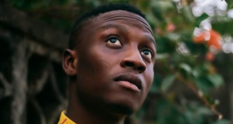 Drizilik press photo