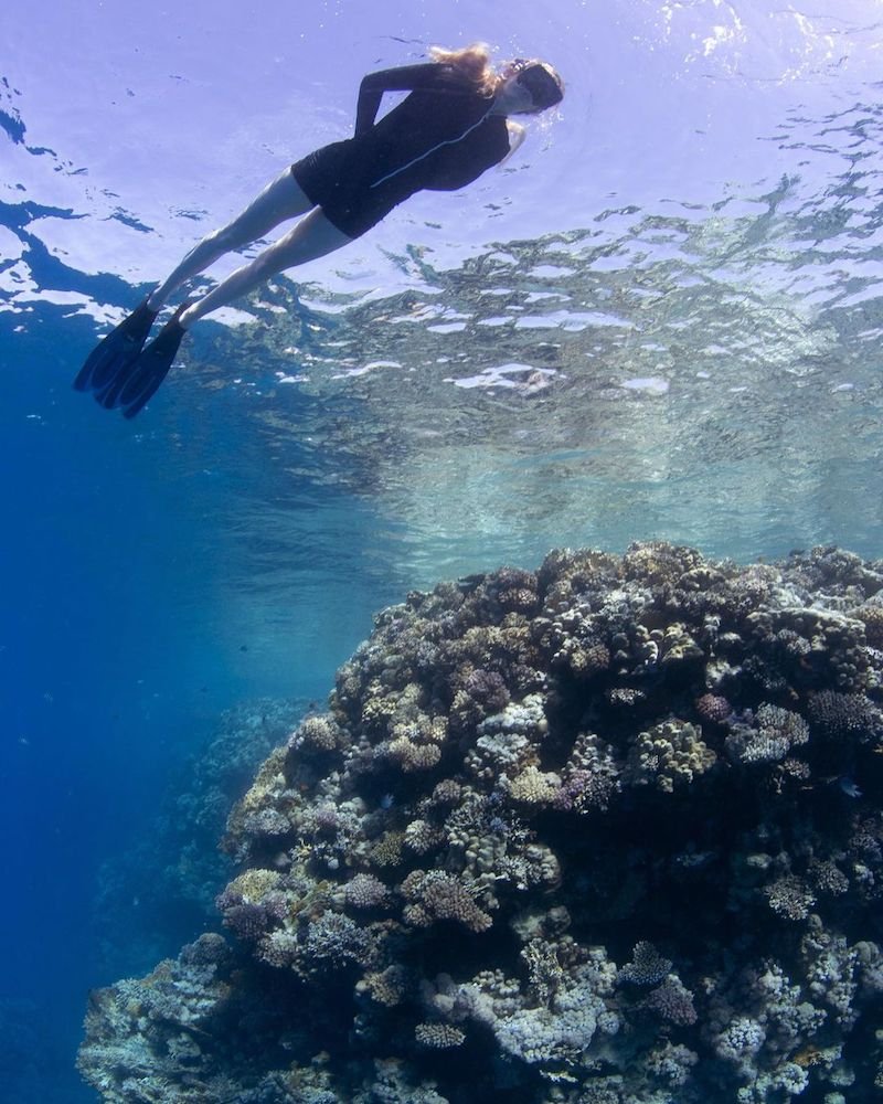 Ellie Goulding visit the coral reefs of the Egyptian Red Sea