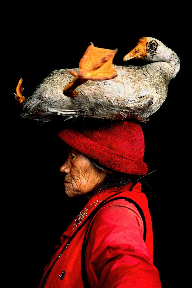 Lady with the goose in Yunnan Province, China
