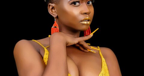 African Wine press photo