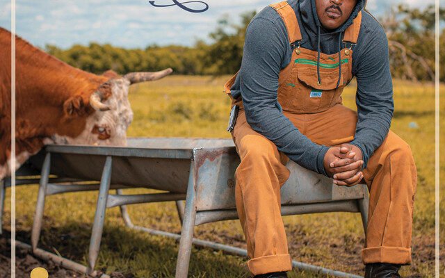 Hi Jackson and The Country Club Born From The Country cover art