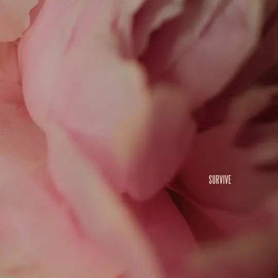 Lewis Capaldi - “Survive” cover art Lewis Capaldi - “Survive” cover art