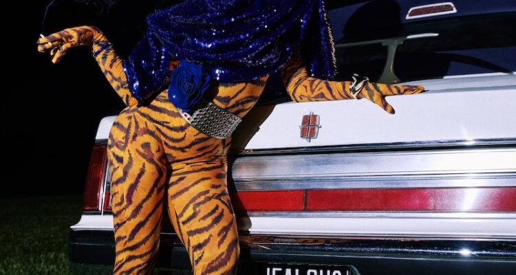 Doja Cat – “Jealous Type” press photo