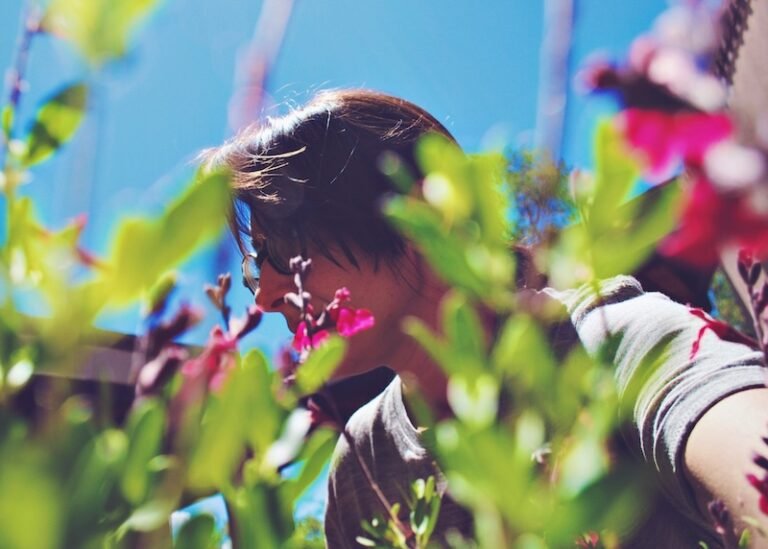 The Reverb Junkie press photo #2