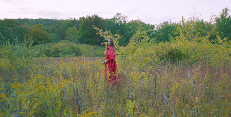 Tanis press photo #1