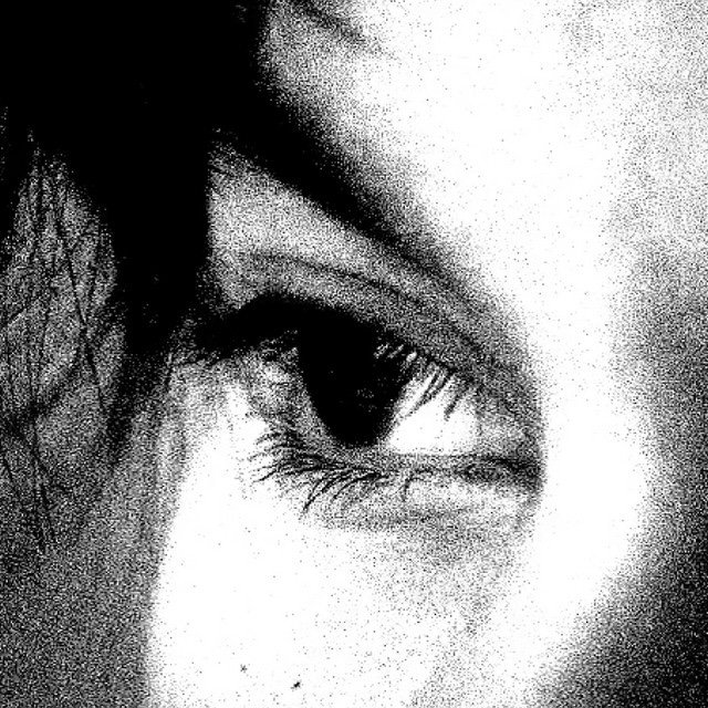 Julius Black press photo