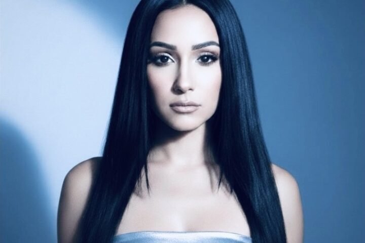 Nincina Robin cover art