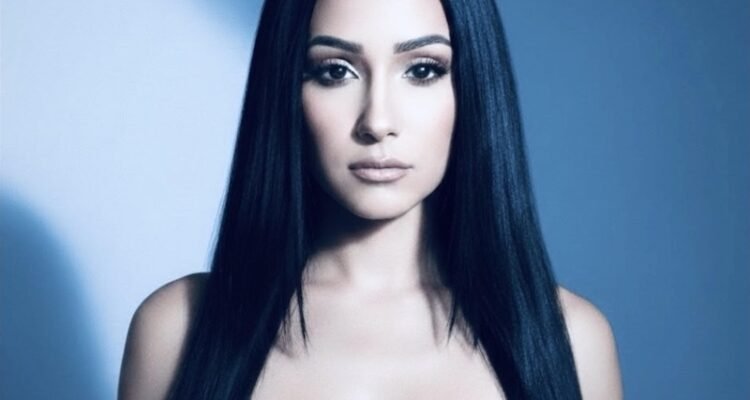 Nincina Robin cover art