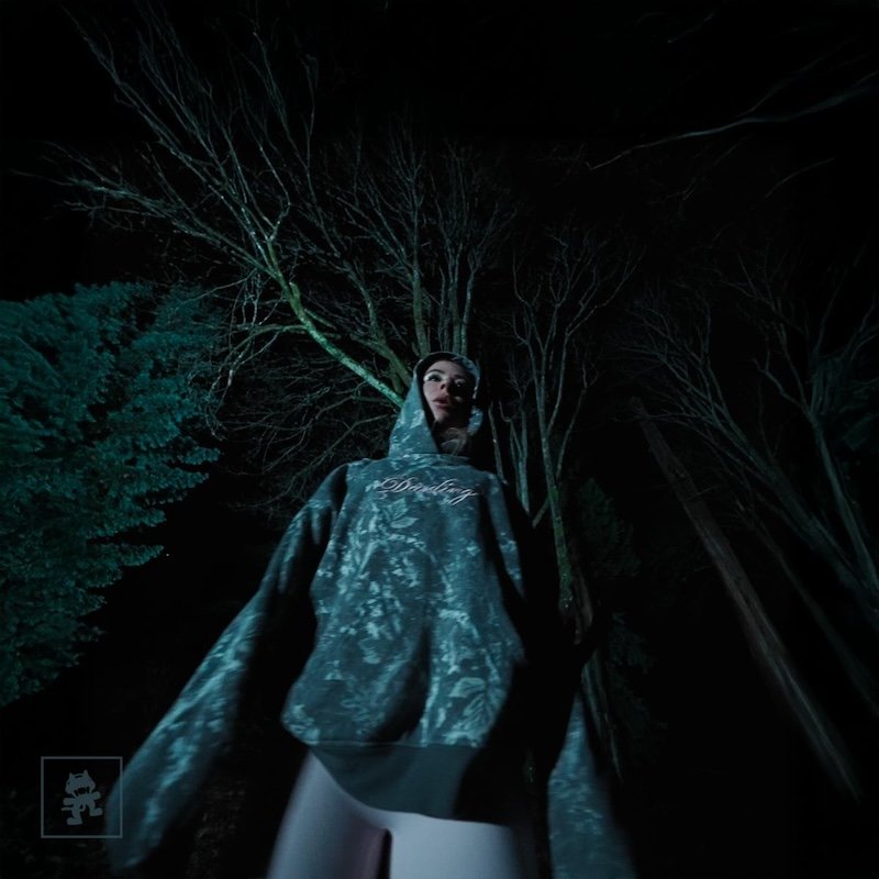 WHIPPED CREAM it s time to go home single cover art